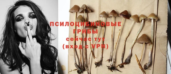 твердый Алзамай